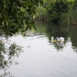 Parade Radeaux, des récits au fil de l’eau